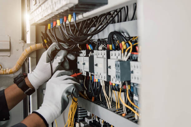 Best Electric Panel Repair  in Anthony, TX